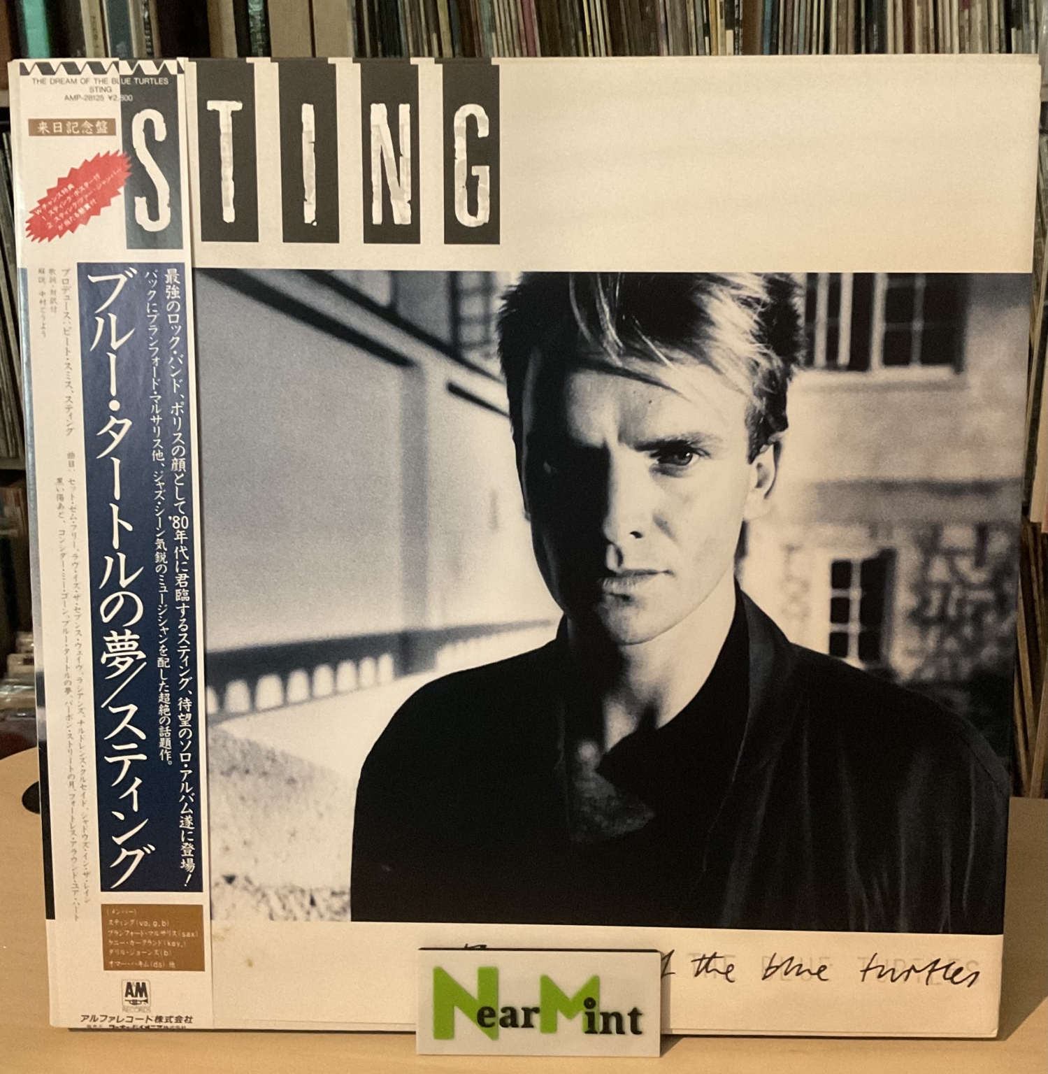 Sting - The Dream Of The Blue Turtles