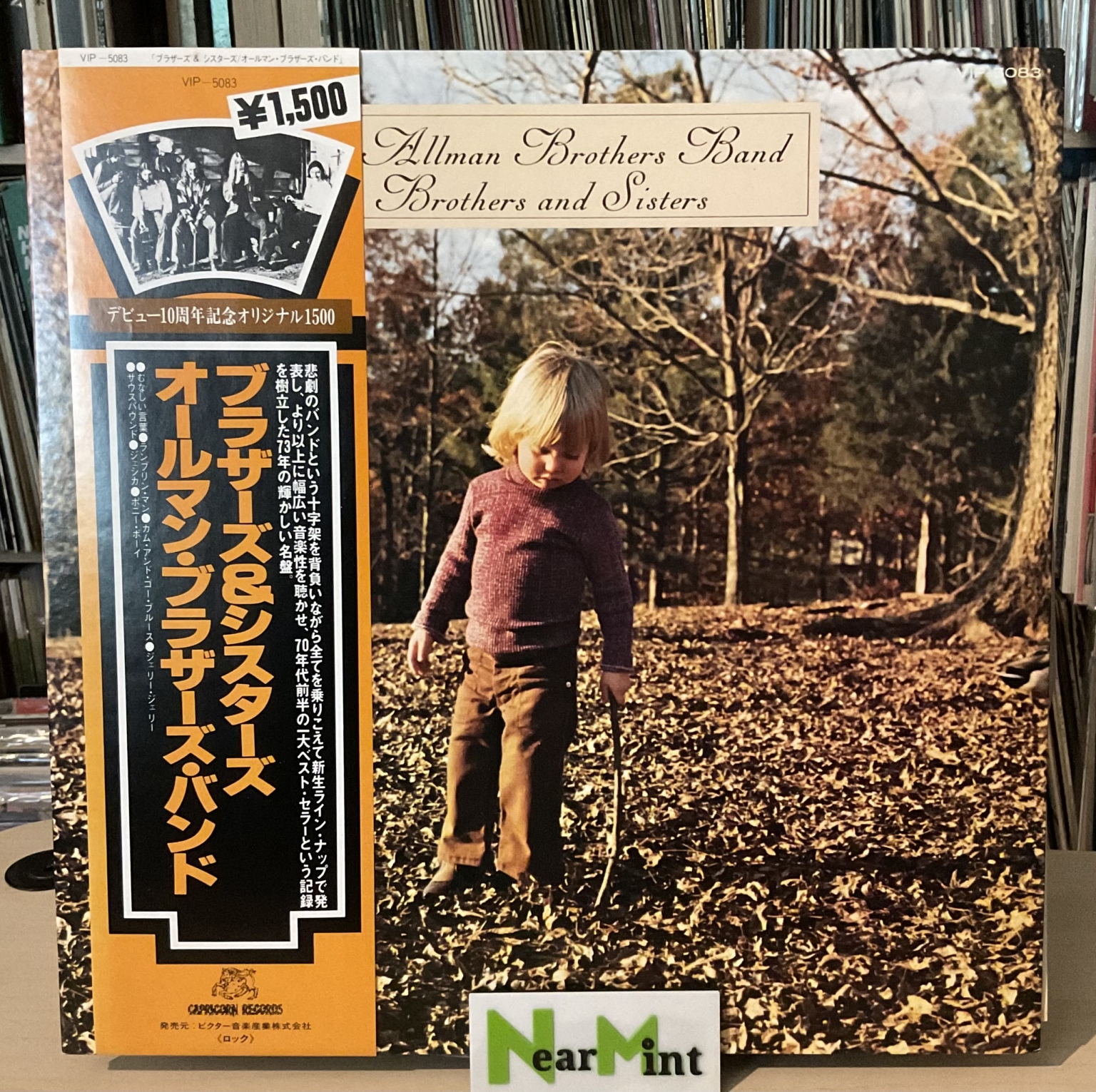 Allman Brothers Band - Brothers And Sisters