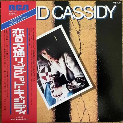 David Cassidy - Gettin’ It In The Street – imaginea 1