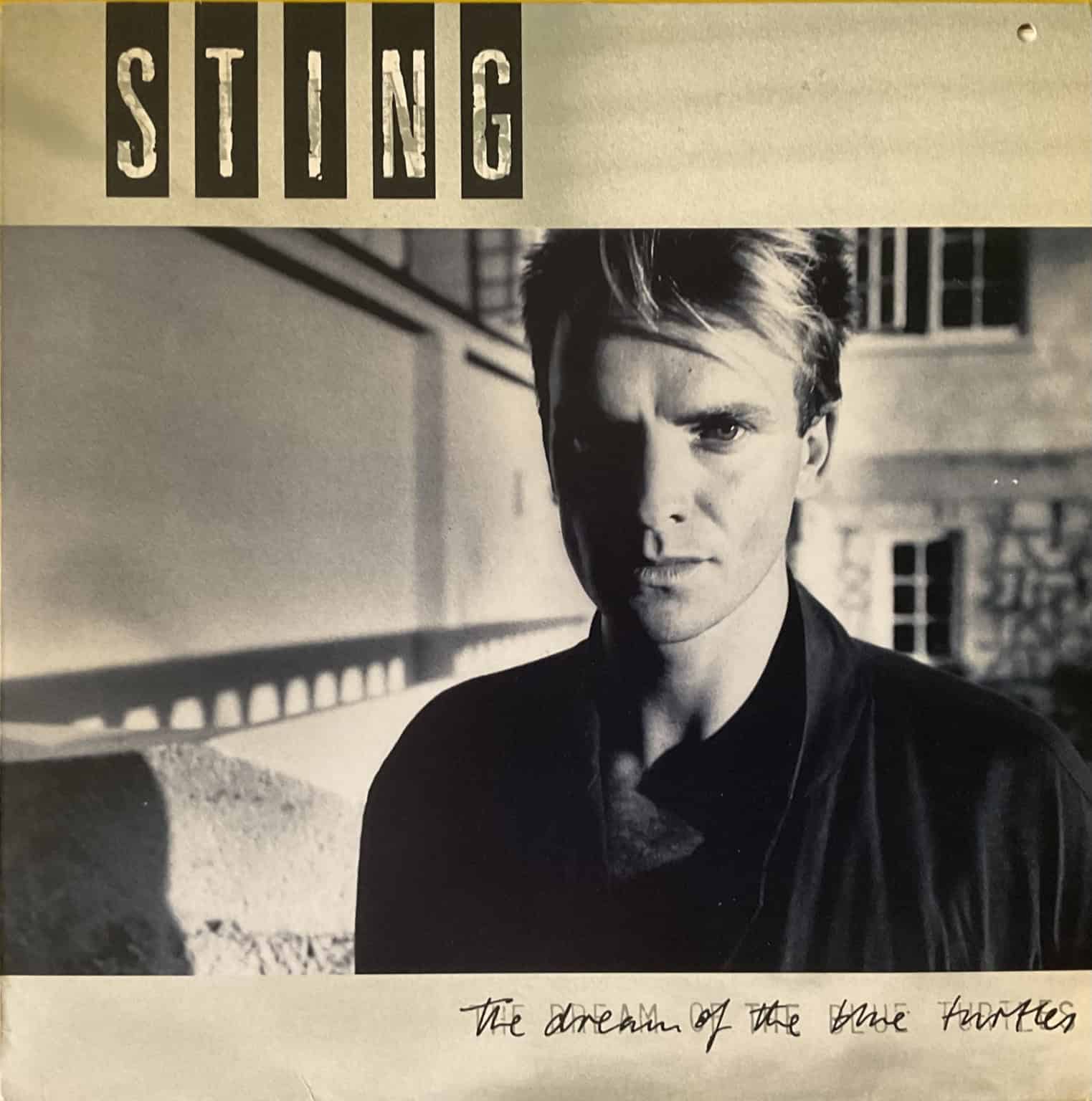Sting - The Dream Of The Blue Turtles
