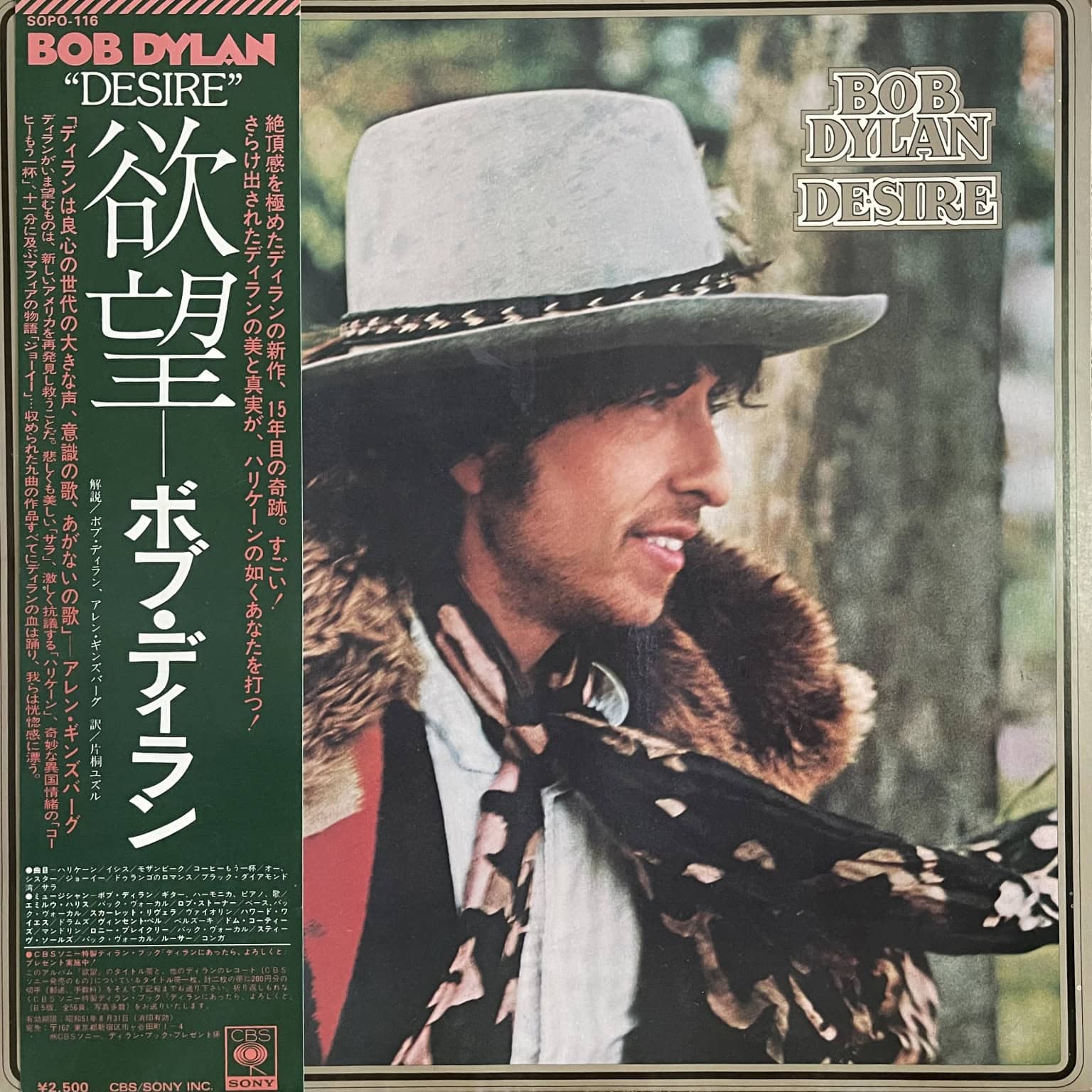 Bob Dylan - Desire