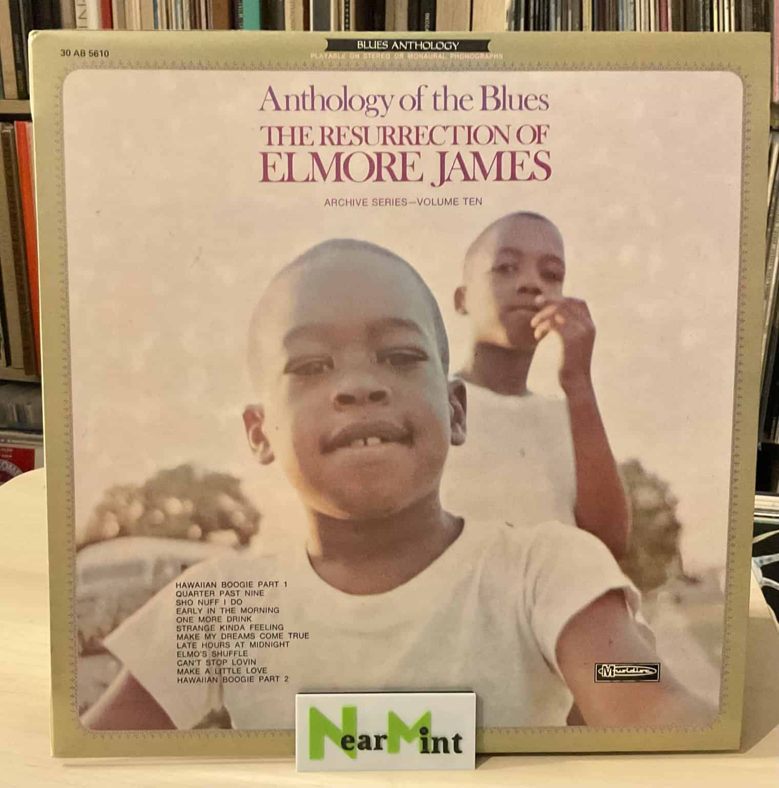 The Resurection Of Elmore James
